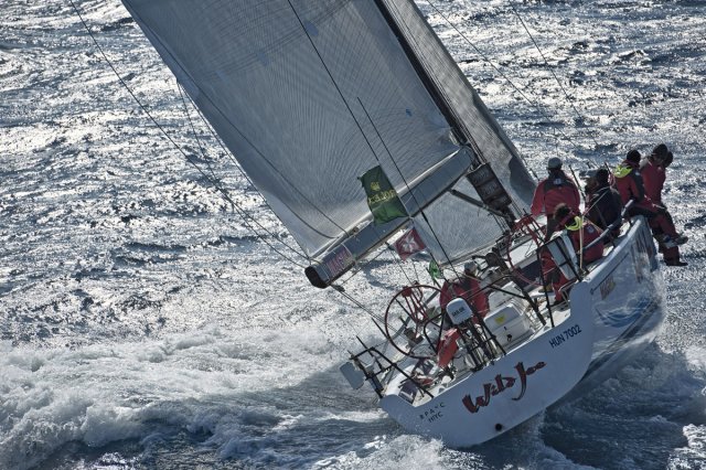 WildJoe_MSR2010_foto_KurtArrigo_2962