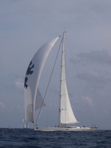 _9071631