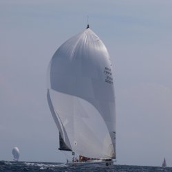 _9071688